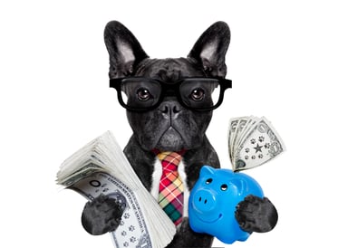 161 billionaire stock dog