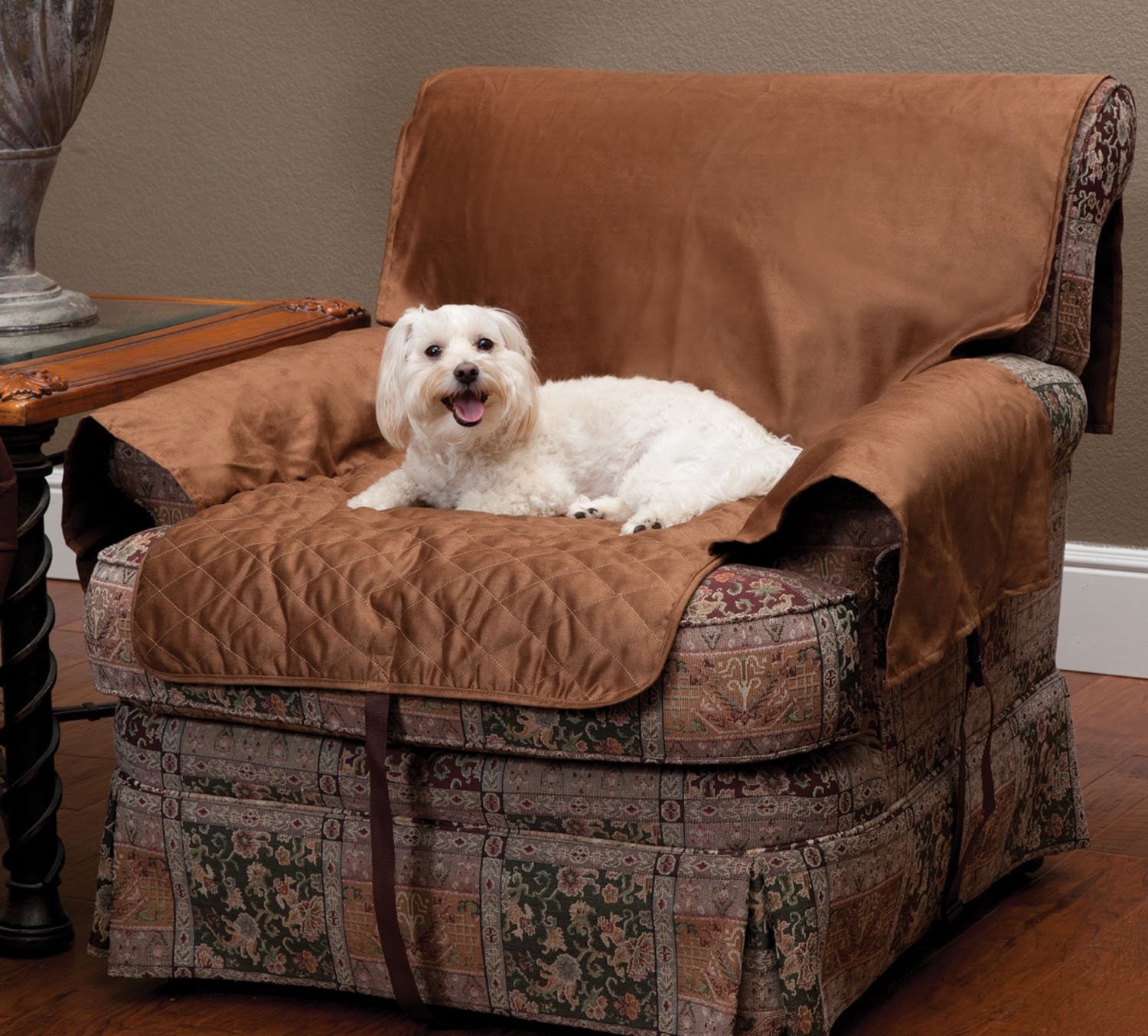 Dog lying on cushion.