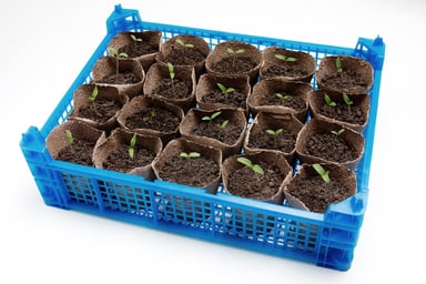 166 scotts miracle gro