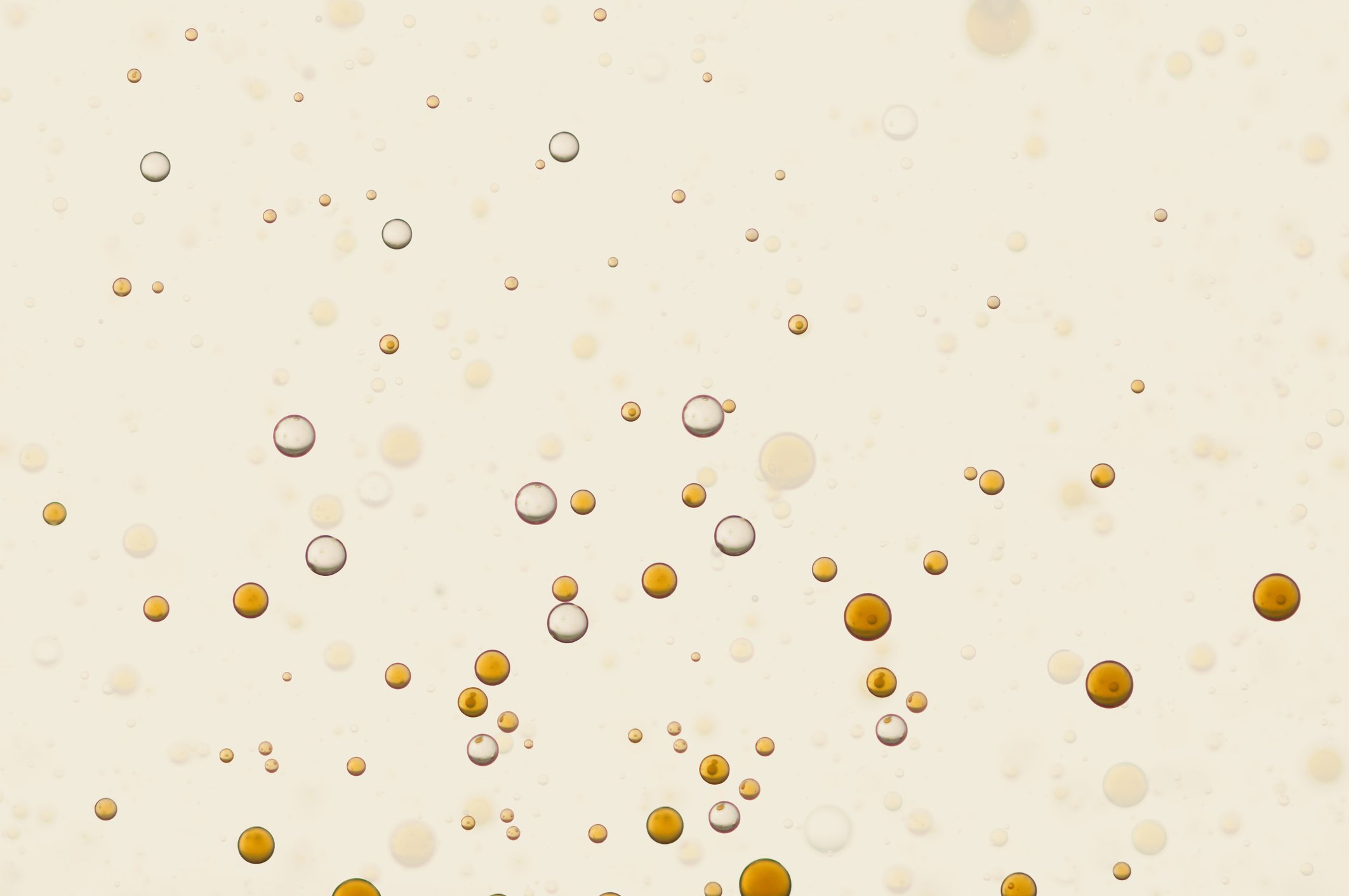 Gas bubbles in liquid.