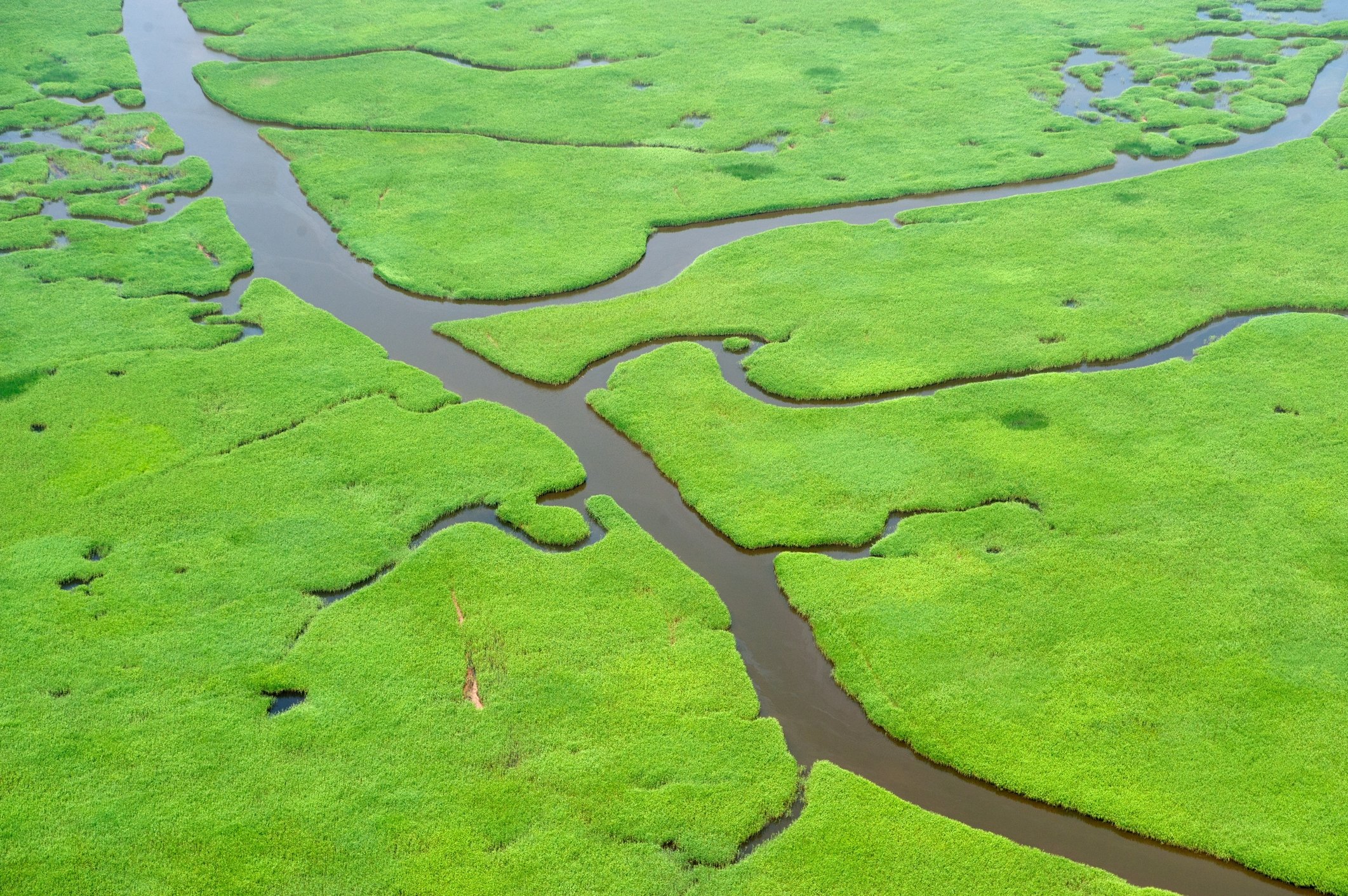Aerial view of river and tributaries in wetlands 
