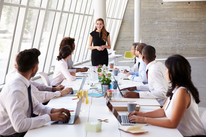 Businesswoman presenting to colleagues at long table in sunny conference room