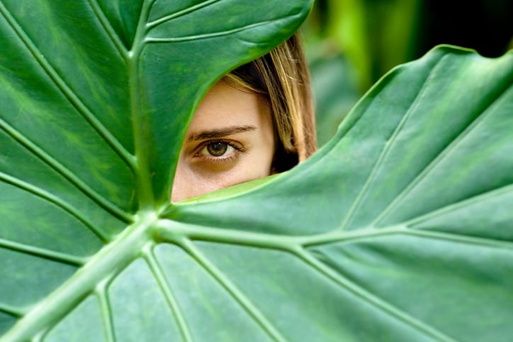 Young woman hiding behind large green palm leaf: only one eye and part of her face are visible.