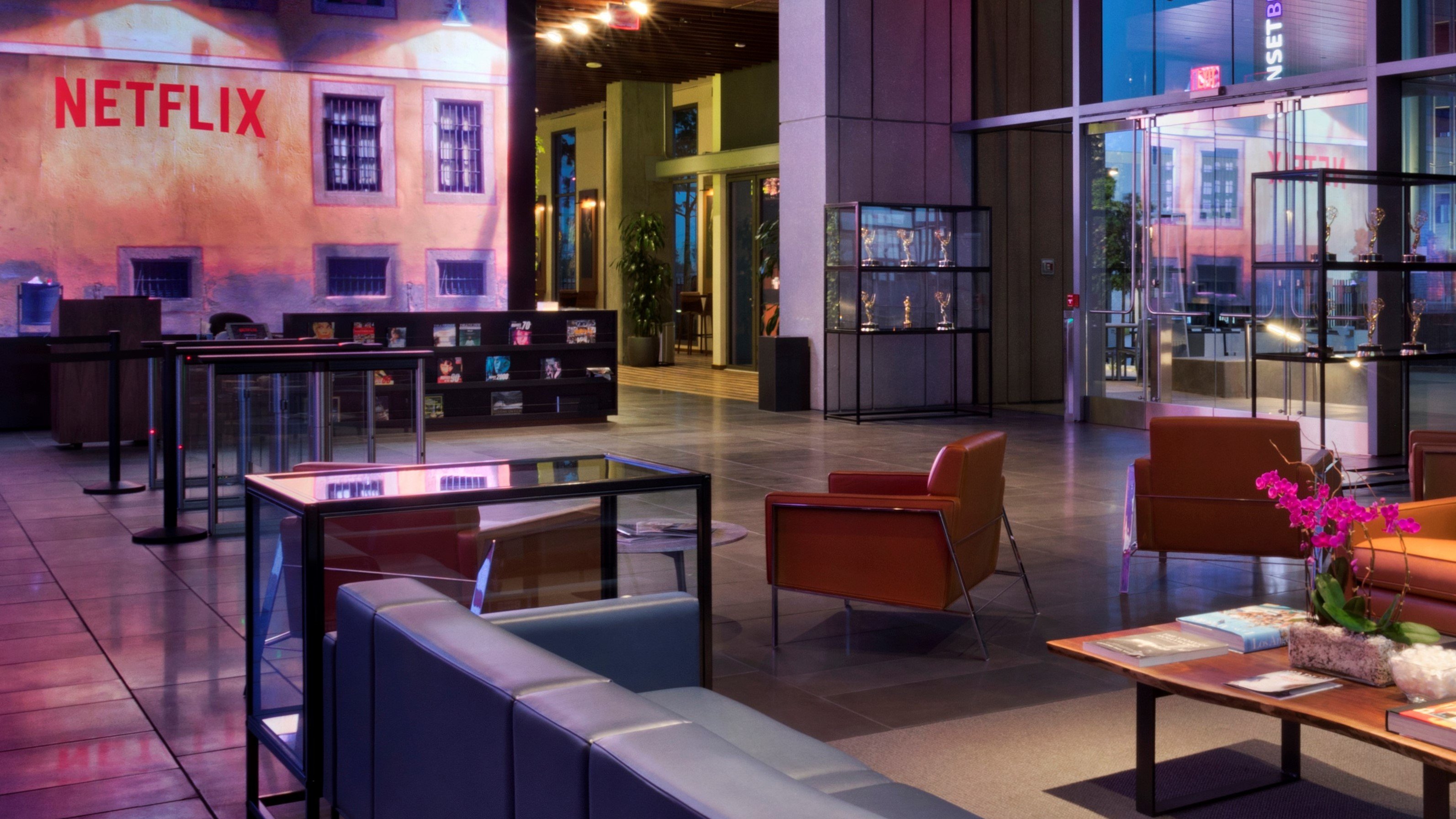 The attractive entrance lobby at a Netflix office