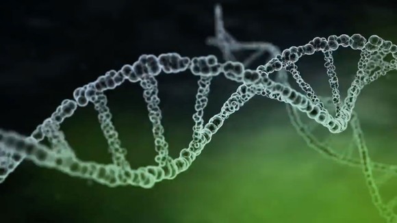 DNA strand like the one AVXS-101 injects into nerve cells.