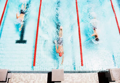 Three swimmers coming to ledge of pool