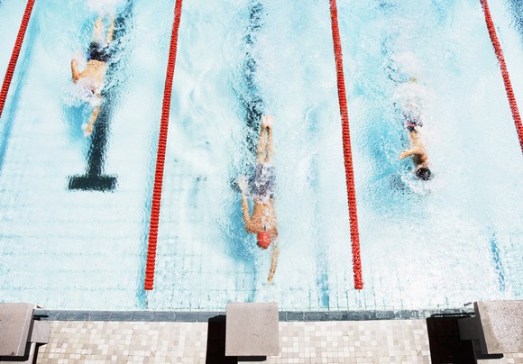 Three swimmers in a race, coming to ledge of pool