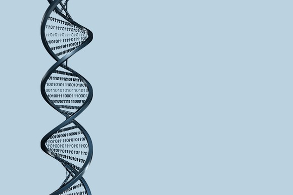 Strands of DNA connected with binary code.