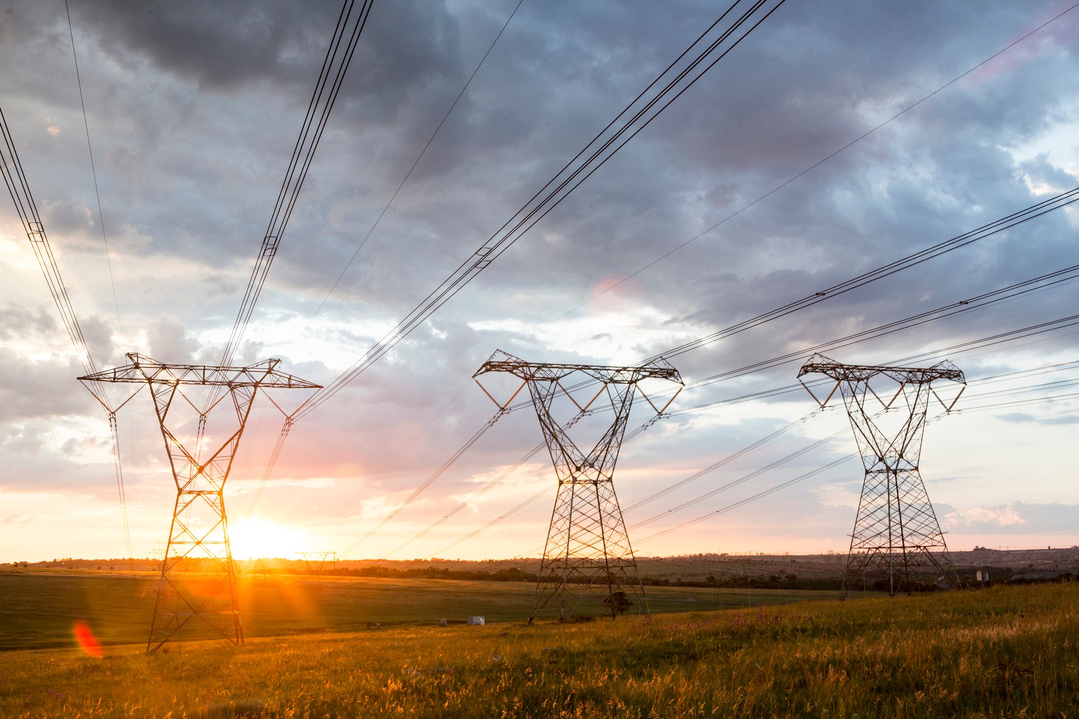 Power lines over corn fields at sunrise. 