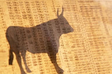 shadow of a bull on the floor