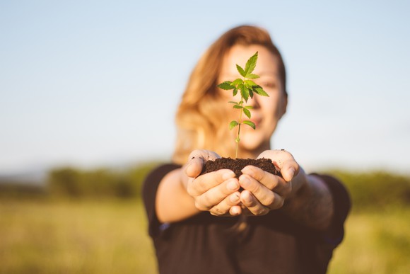 Young woman holding cannabis plant with outstretched arms