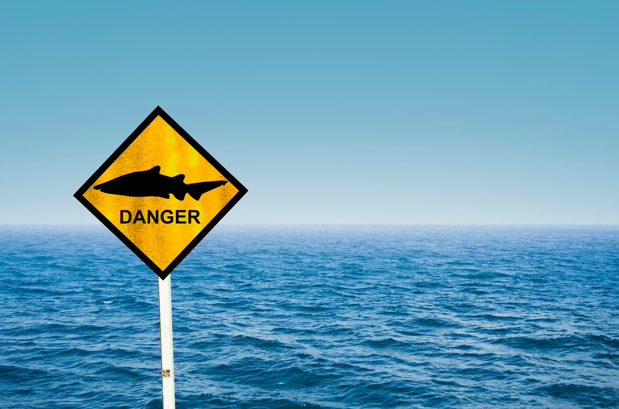 A sign with a picture of a shark and the word danger.