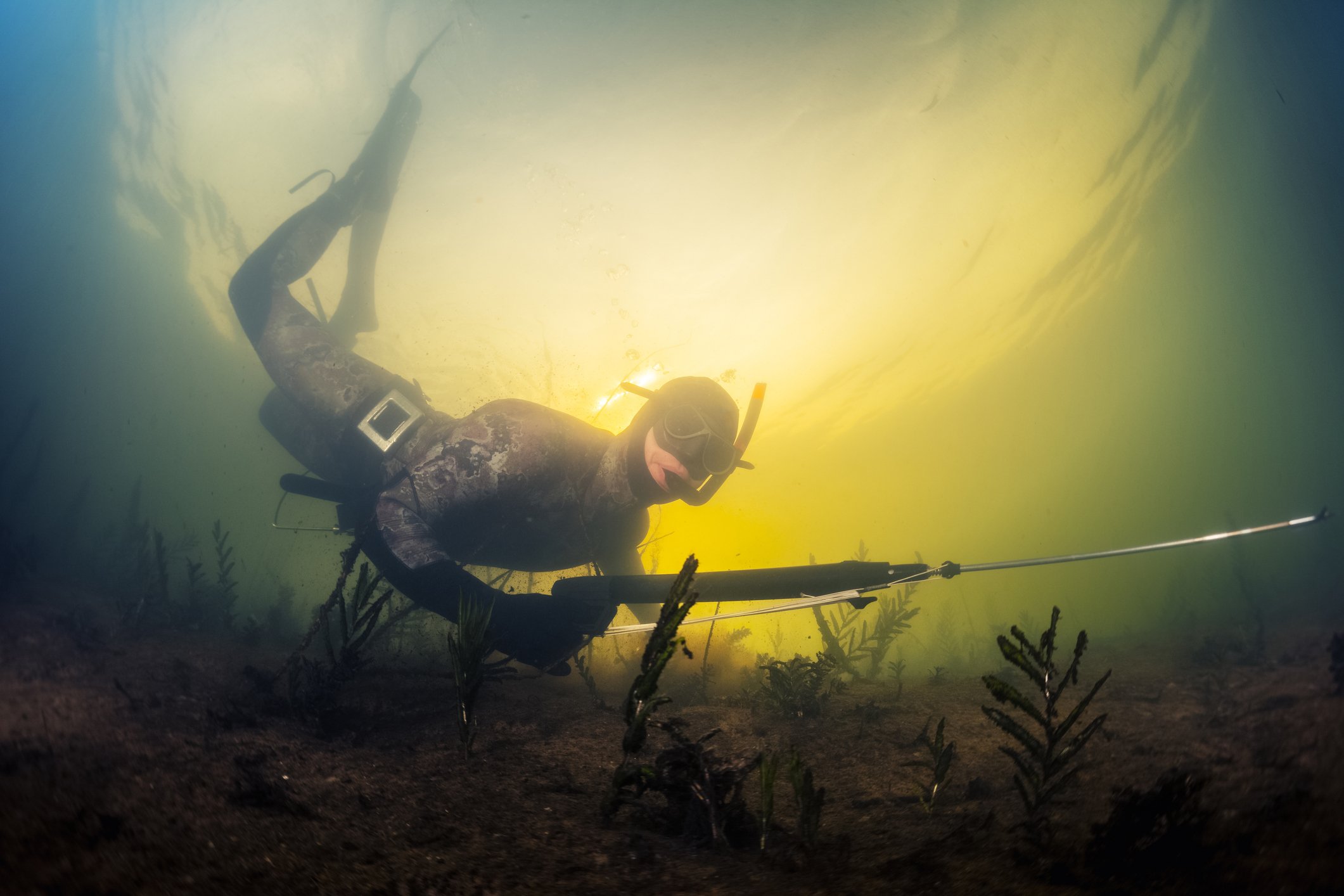 Scuba diver spear fishing