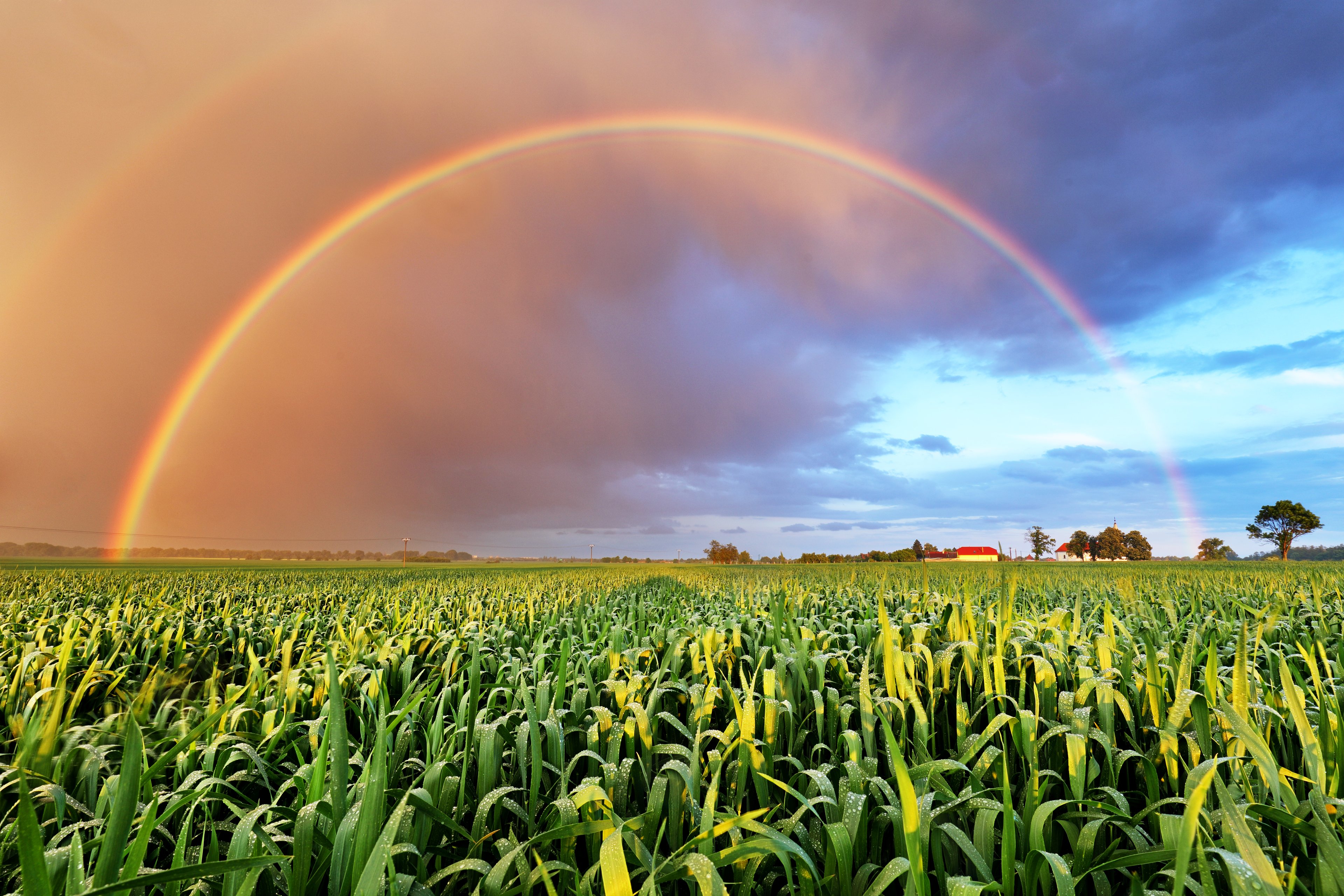 Dividend rainbow!