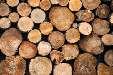 Log Piles
