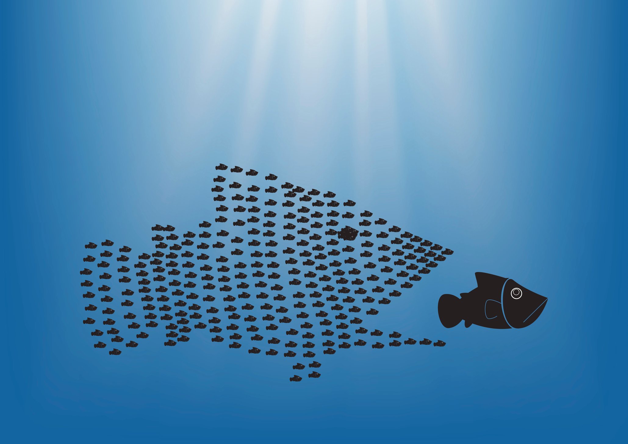 A school of small fish join together in the shape of a large fish, appearing to prepare to eat a fish that would otherwise outsize them.