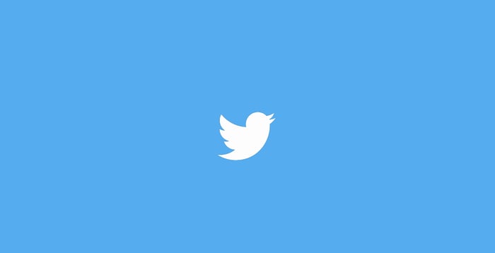 Twitter white bird on blue background.