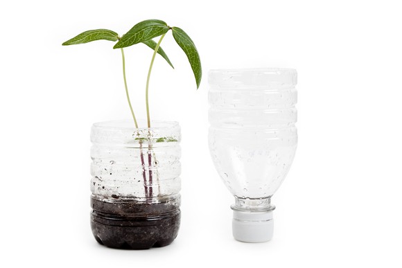A plastic bottle cut in half, with the bottom half containing soil and a plant. 