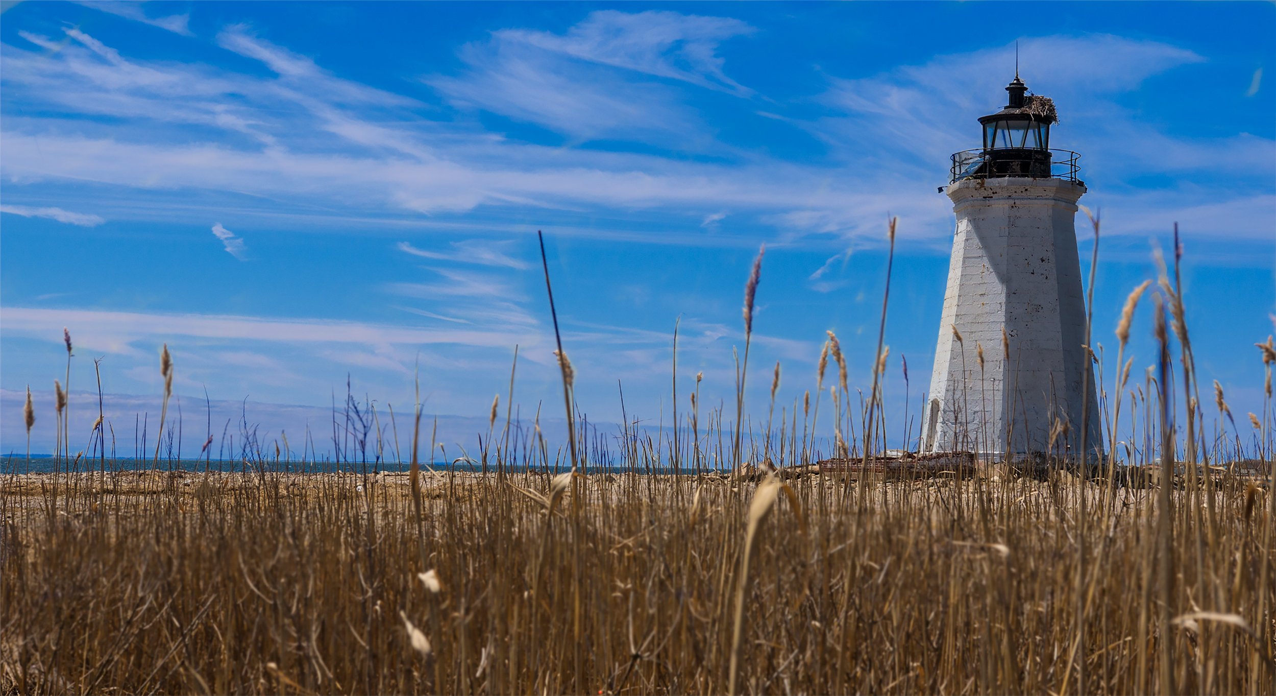 a lighthouse with a field in the foreground