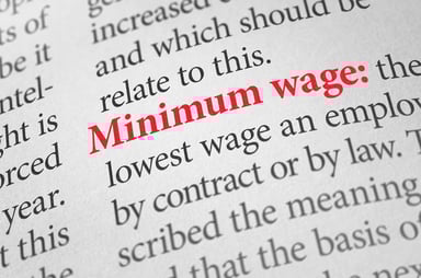 minimum wage income