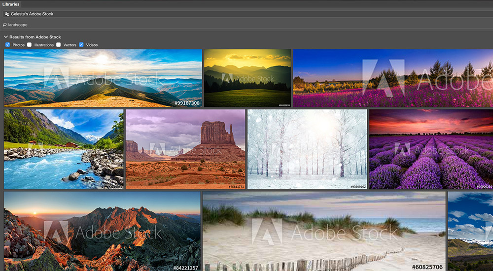 Computer screen shot of Adobe's Creative Cloud solution.in action.