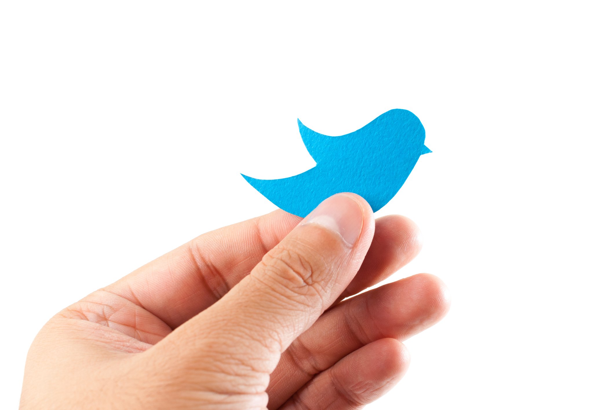 Hand holding blue construction paper cutout of Twitter bluebird logo.