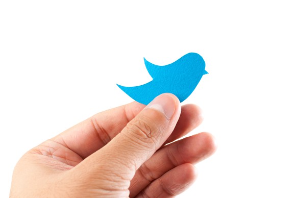 Hand holding blue construction paper cutout of Twitter bluebird logo.
