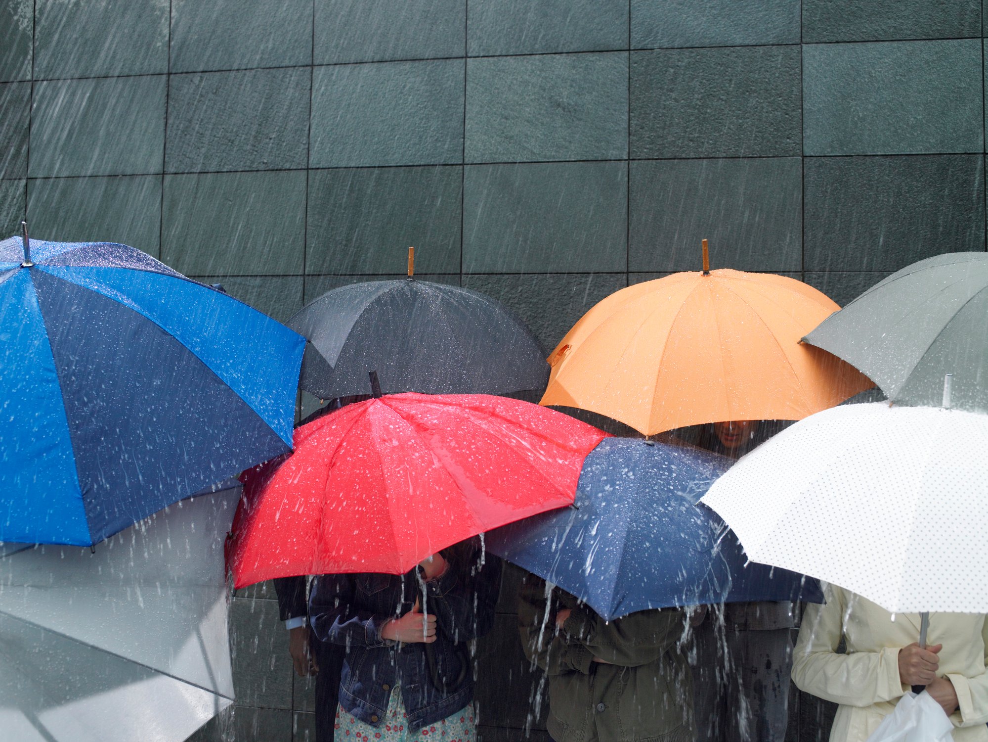 Rain pouring down on people holding umbrellas.