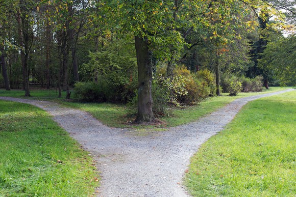 Fork in a wooded trail.