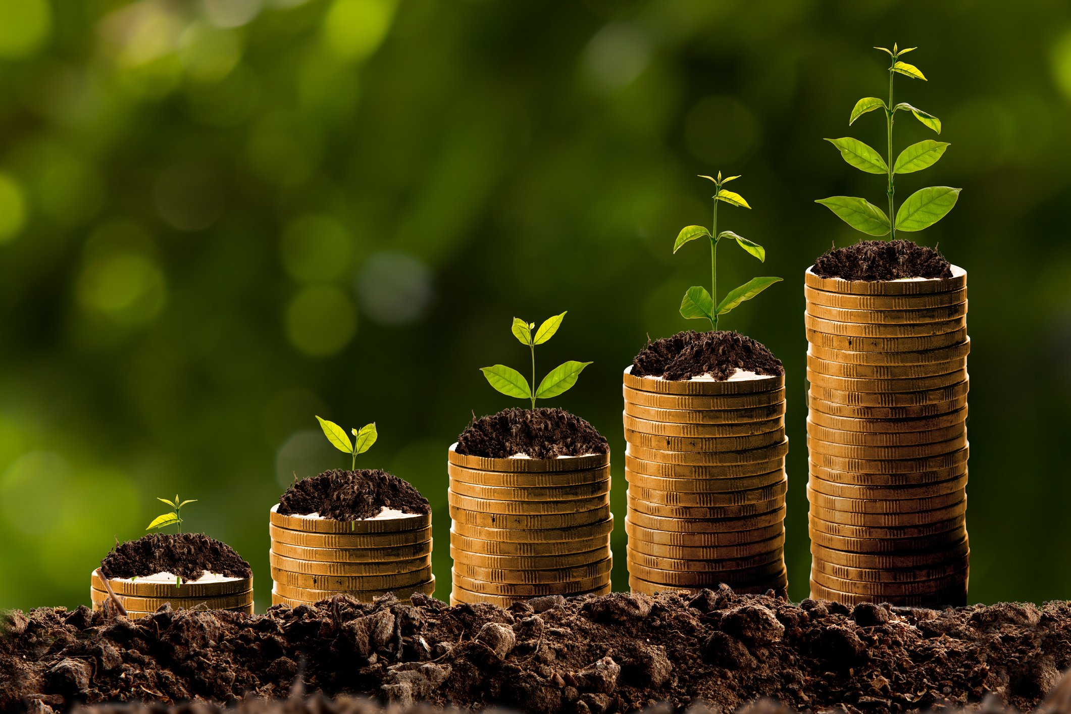 Columns of coins with seedlings and soil on top. The columns get sequentially taller, mimicking a chart showing growth.