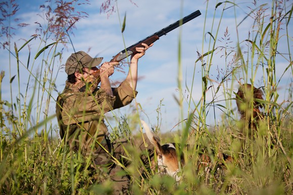 Hunter with shotgun in the field