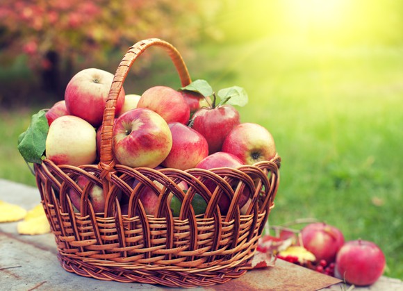 A basket of apples sitting on a table outside