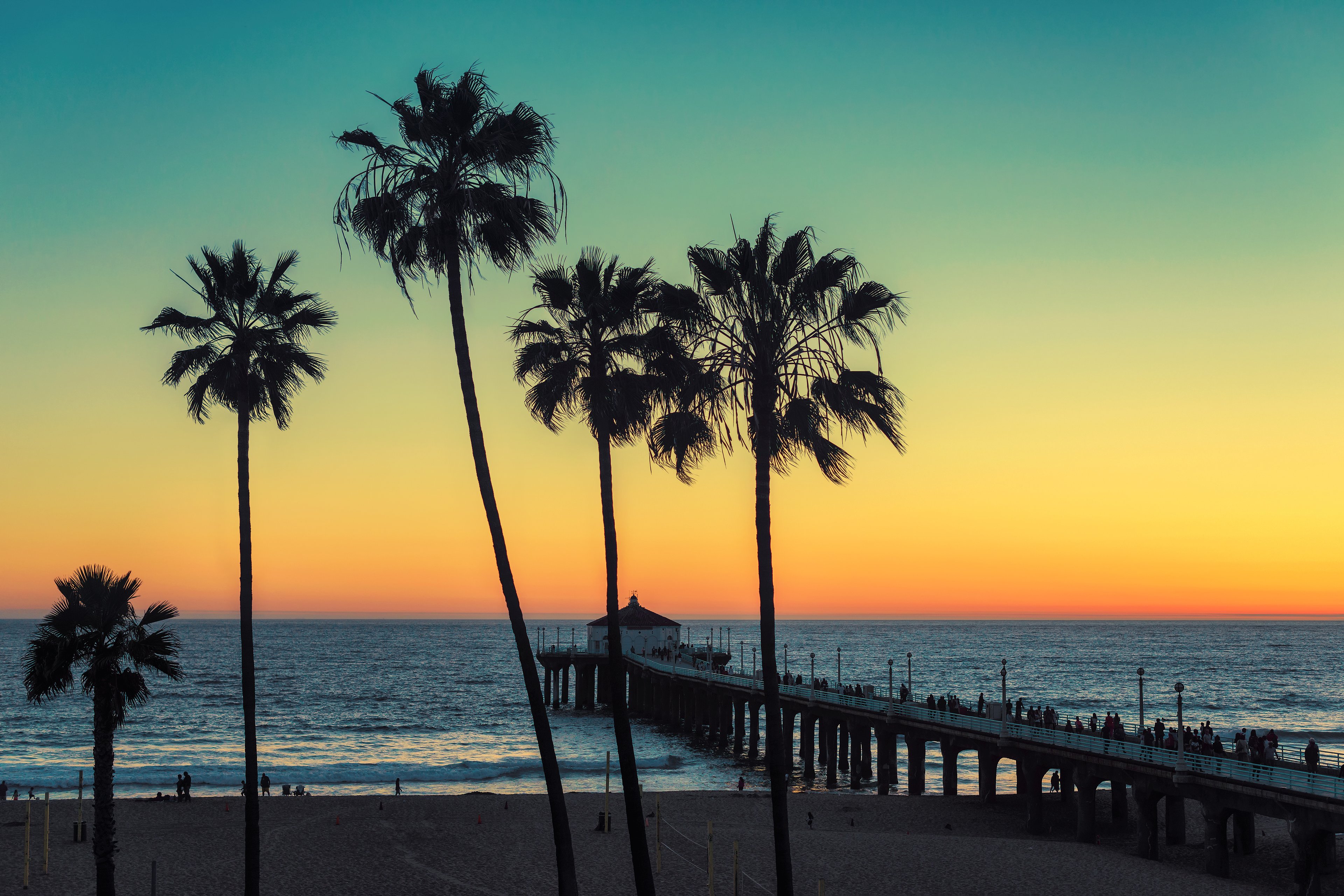 Palm trees against a sunset
