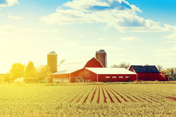 Sunshine on farm with barns in background