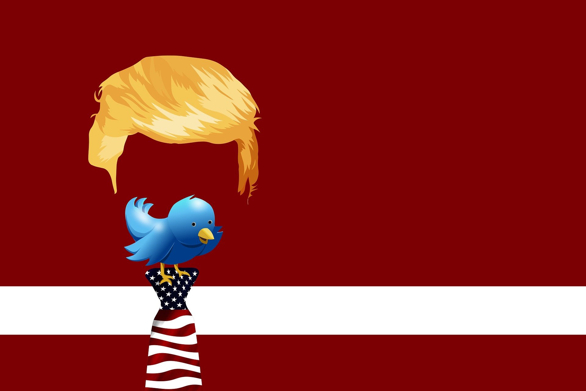 Trump's hair above a blue bird standing on an American flag tie