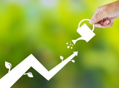262 dividend stocks to buy