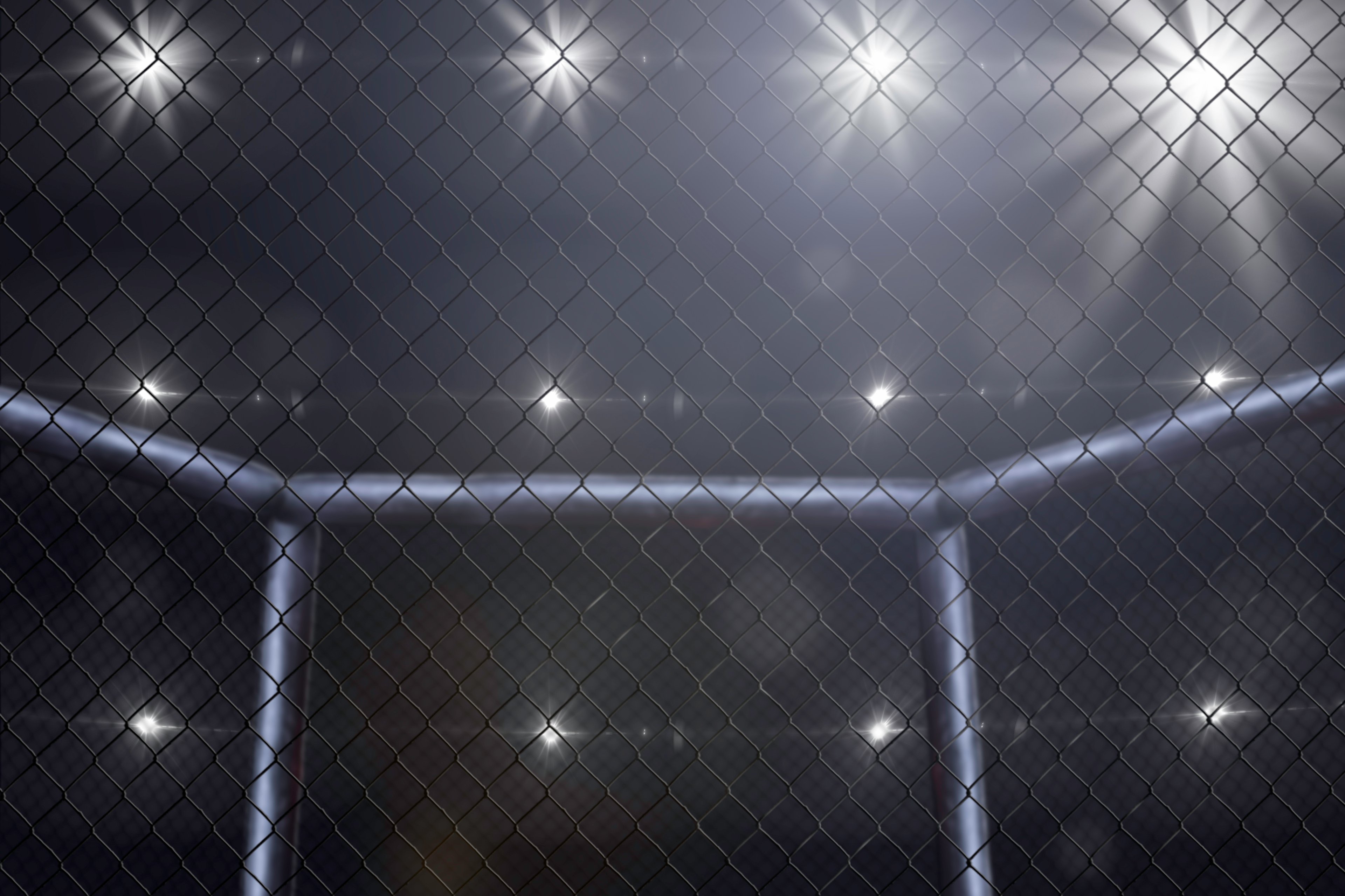Empty Mixed Martial Arts arena side view under lights.
