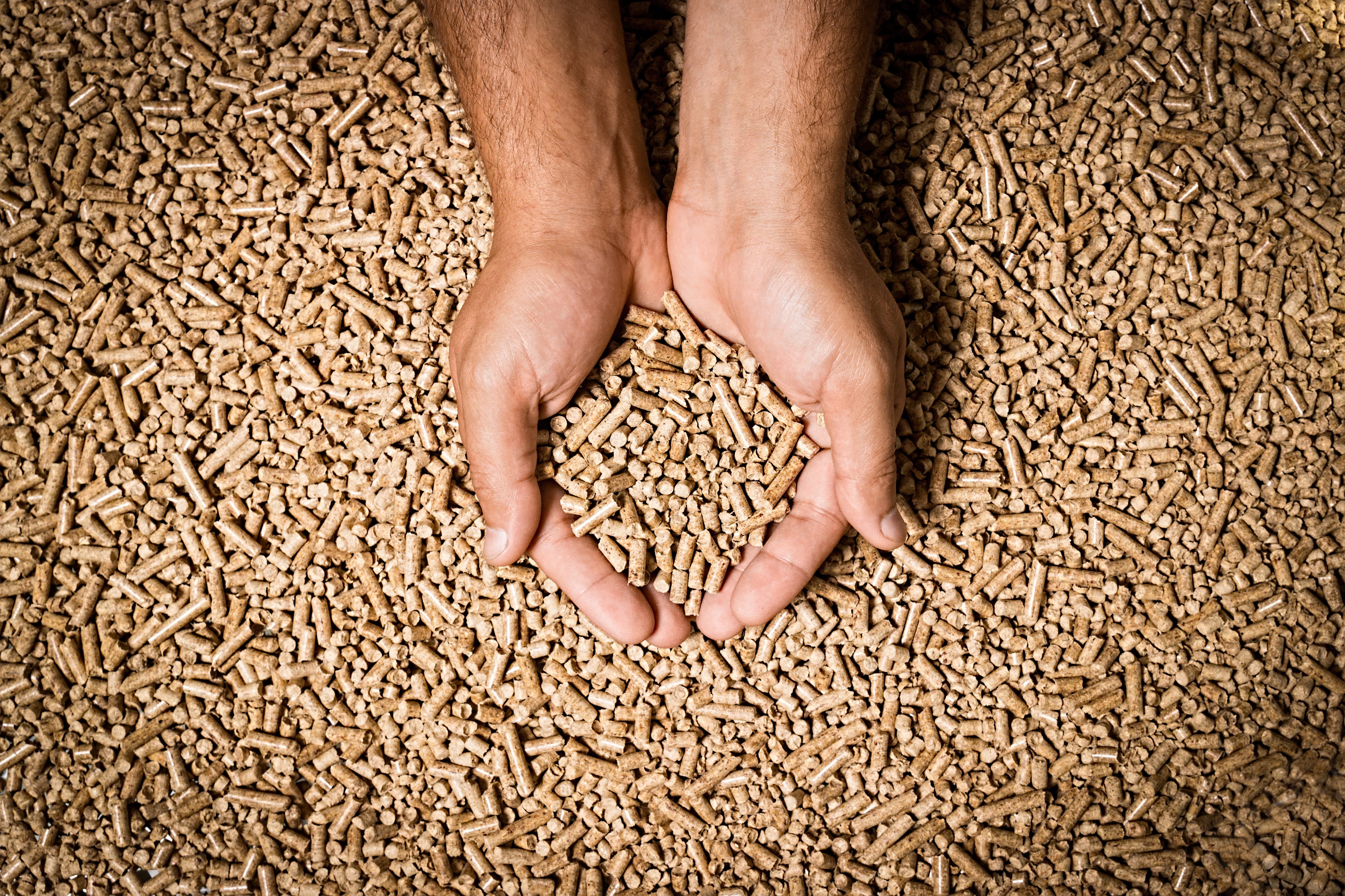 Hands holding wood pellets