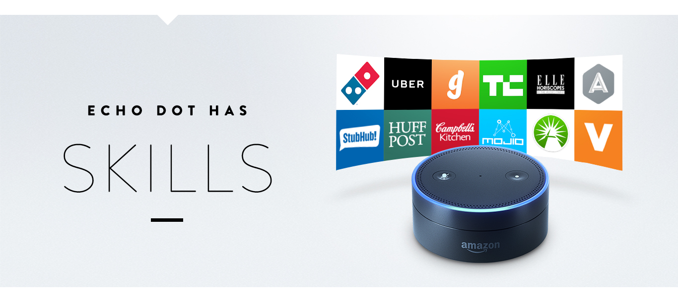 Ad for Amazon Echo Dot, which reads "Echo Dot Has Skills," surrounded by several company logos.