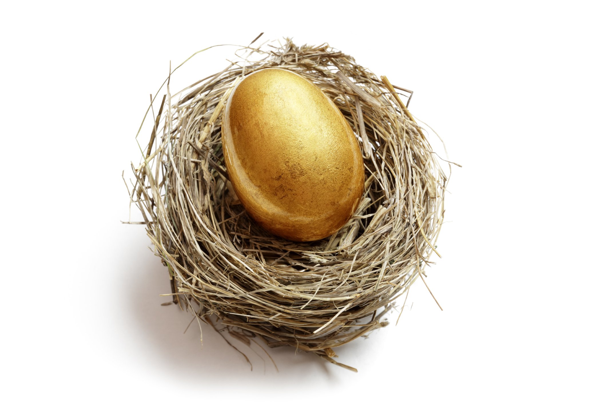 A golden egg in a nest -- a visual representation of the concept of the nest egg.