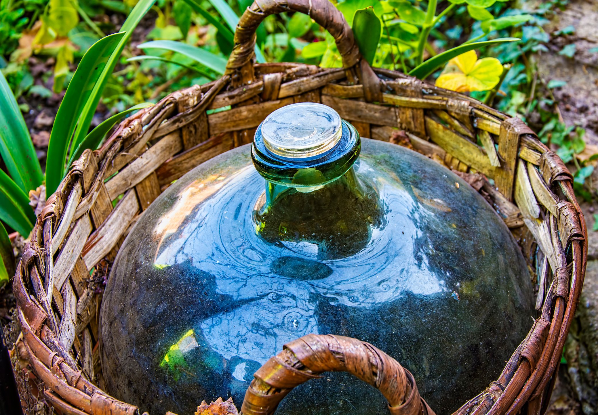 16th century demijohn fermentation