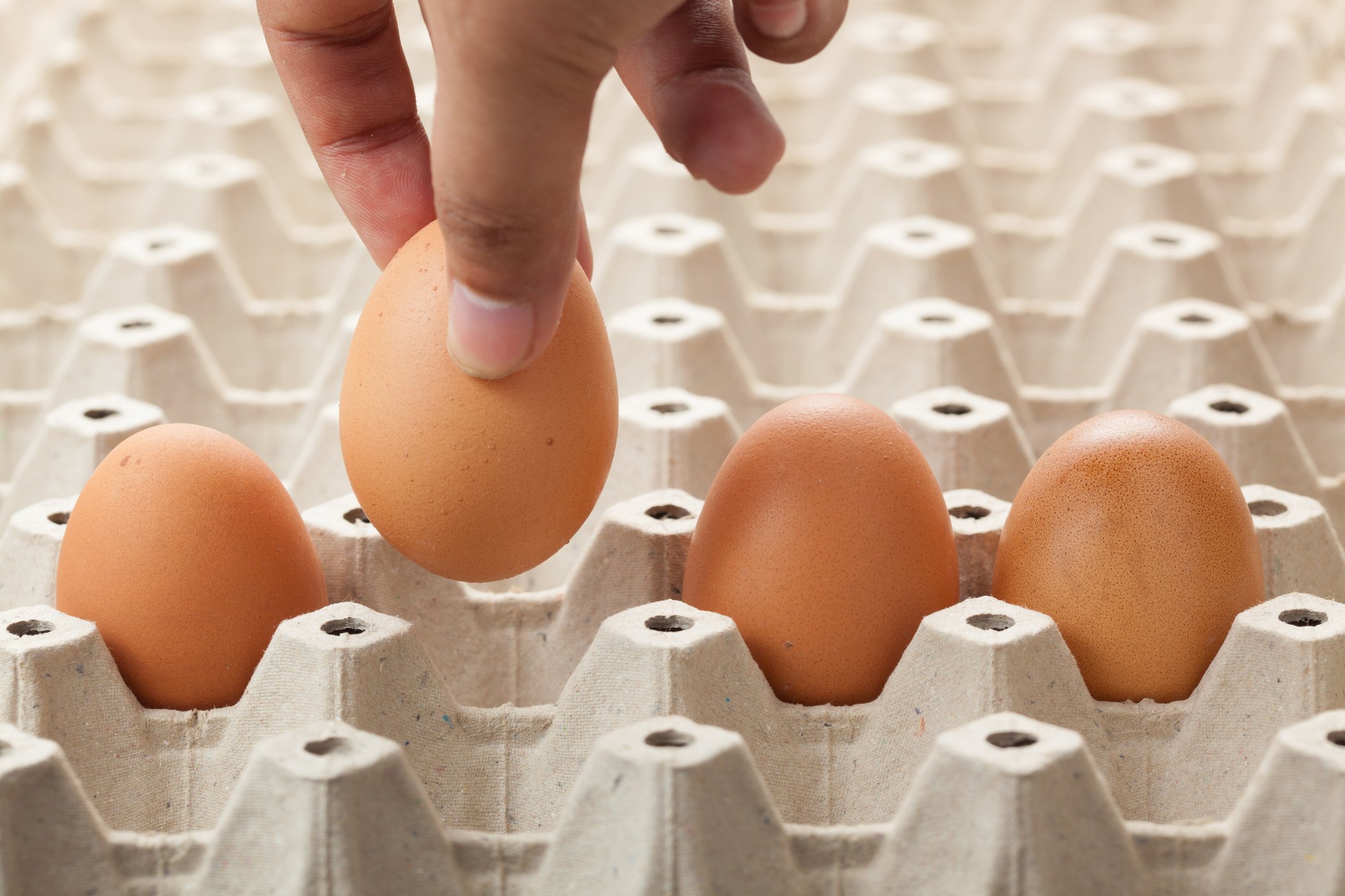 A hand placing an egg carefully into an egg carton.