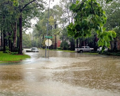 Harvey GettyImages-840224256