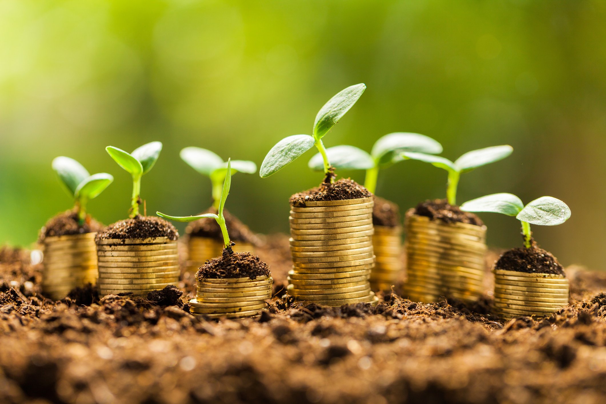 Coins on the ground with small sprouts coming out of them. 