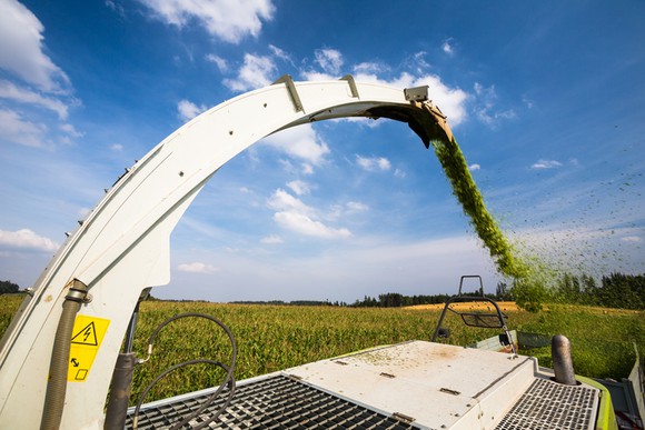 Modern combine harvester loading green corn into truck.