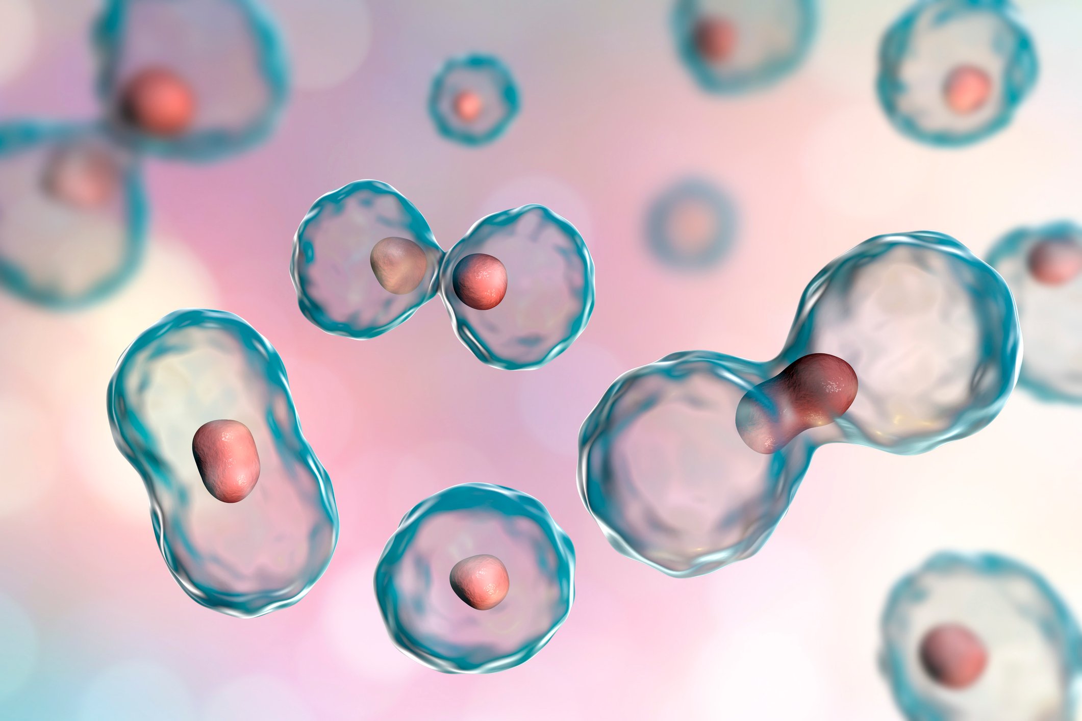 An illustration of several cells multiplying.