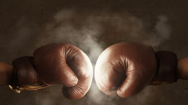 Boxing gloves