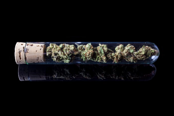Marijuana buds in a test tube lying on its side and sealed with a cork.