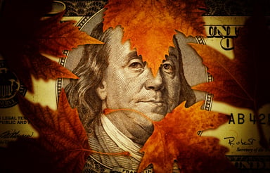 Ben Franklin on $100 bill with leaves