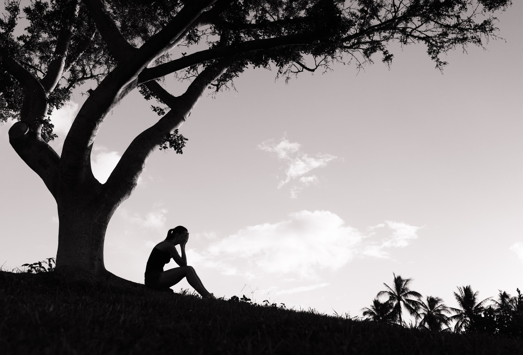 The silhouette of a woman with her hands in her face, on a hill, by a tree.